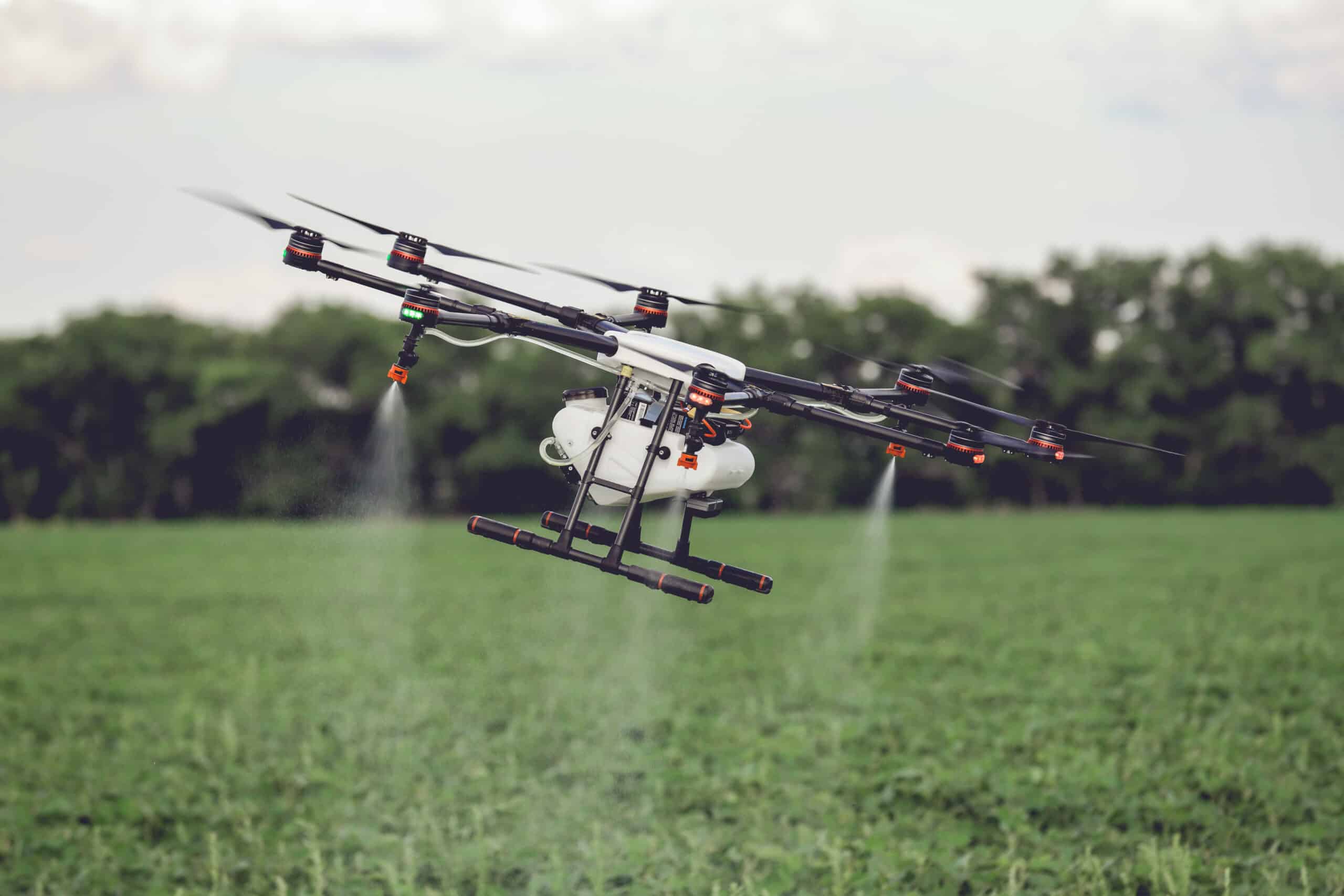 Four farmers in a lush field observing a drone spraying crops, using digital devices to analyze agricultural data.