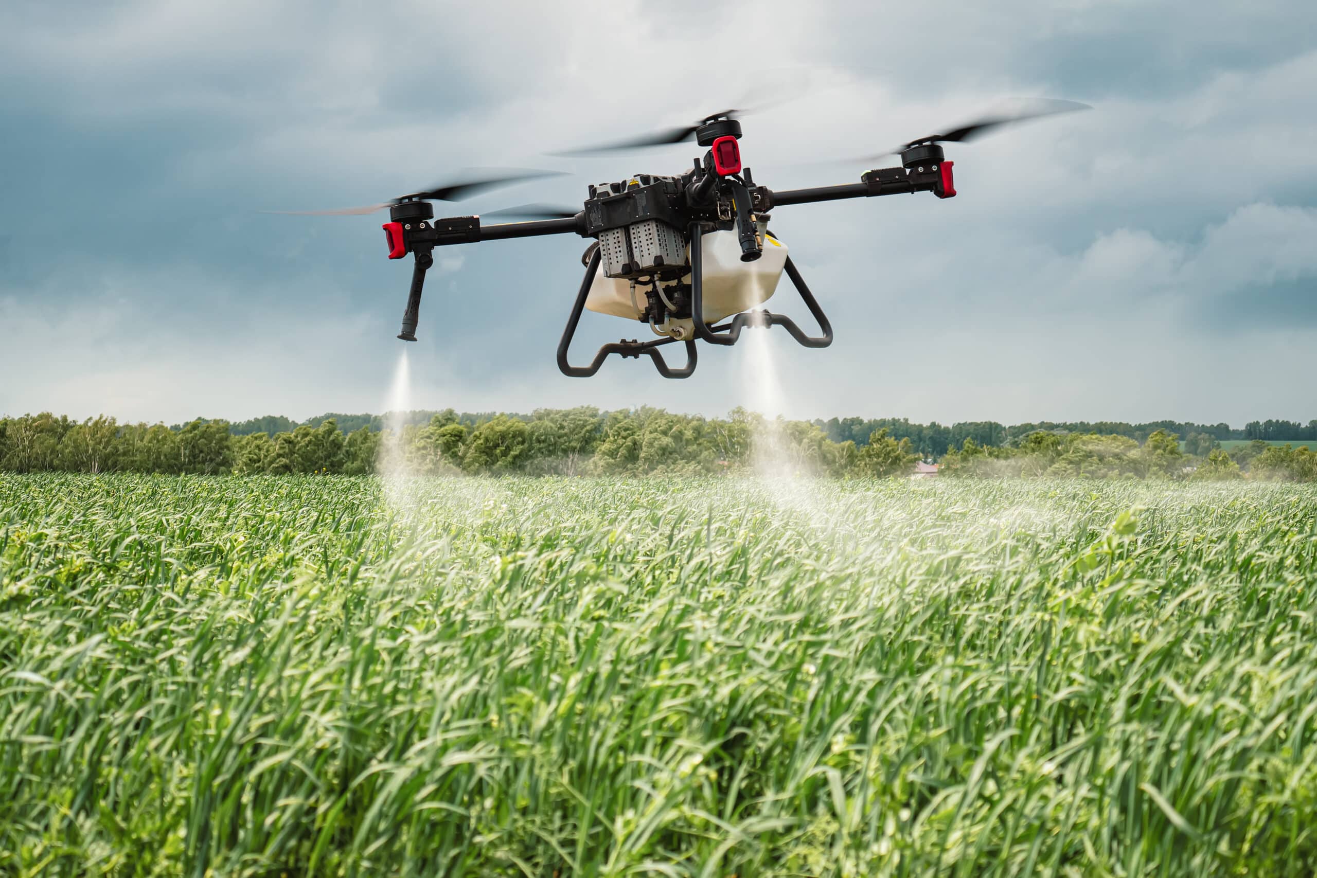 Four farmers in a lush field observing a drone spraying crops, using digital devices to analyze agricultural data.