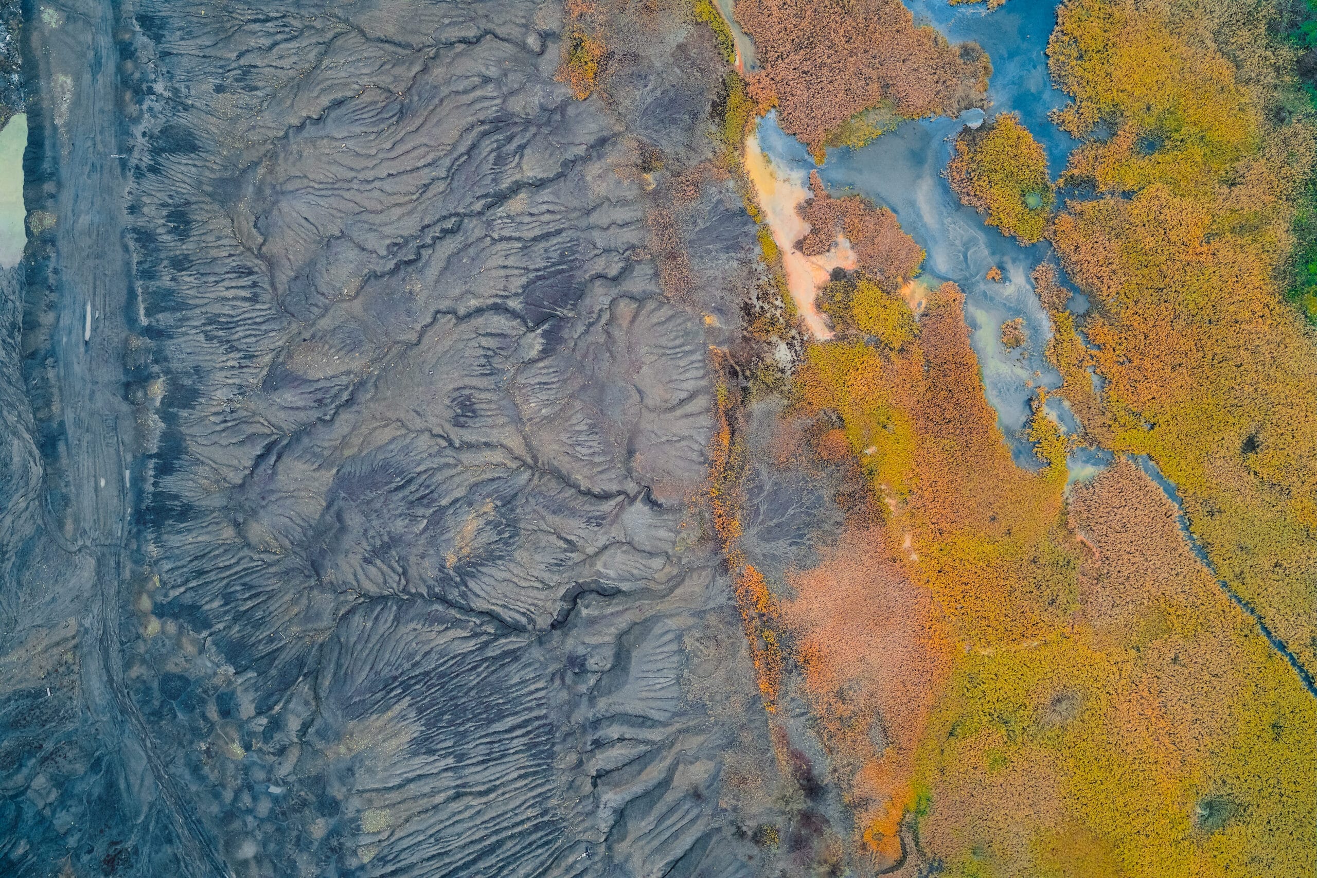 Four farmers in a lush field observing a drone spraying crops, using digital devices to analyze agricultural data.